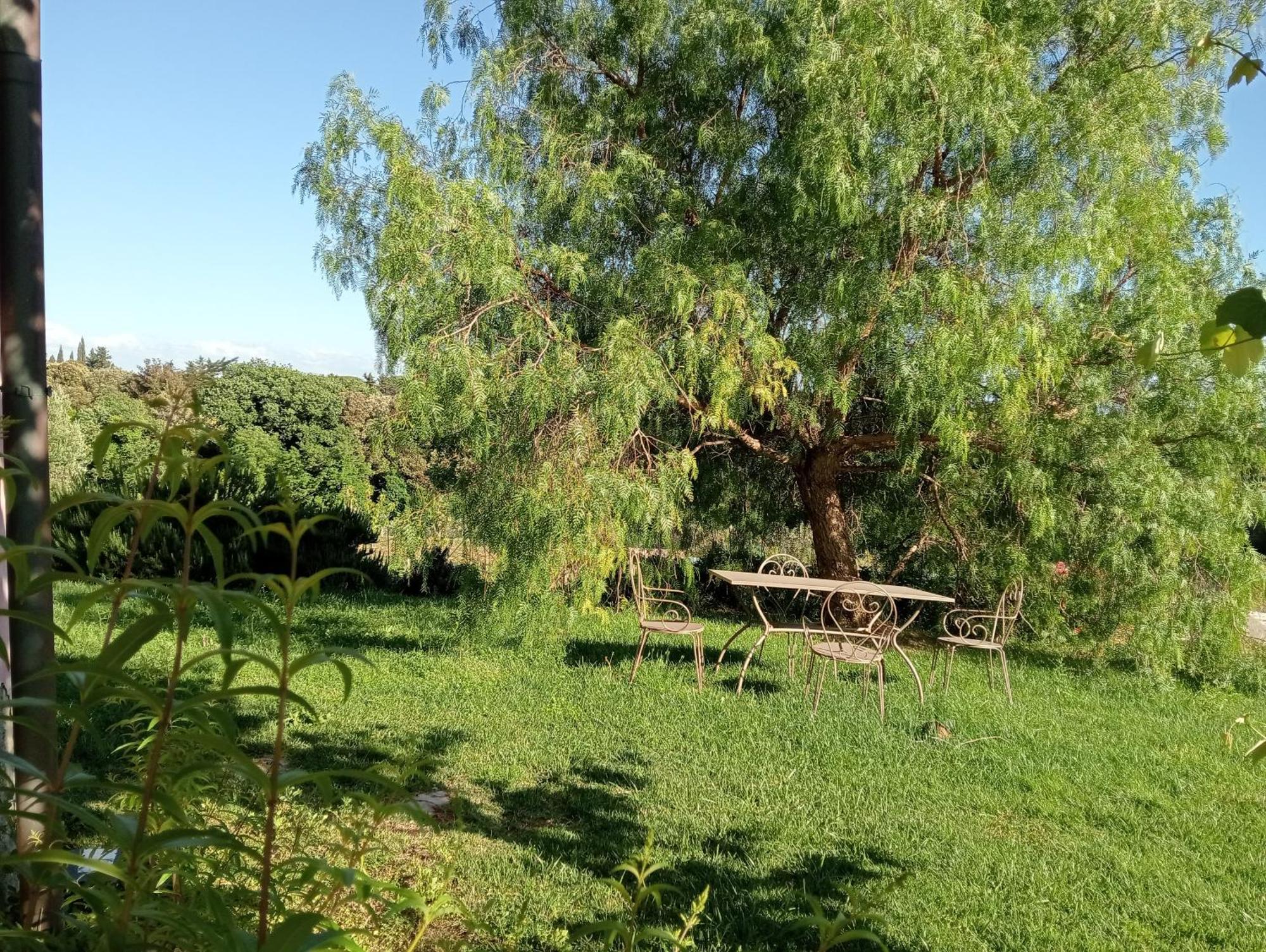 Agriturismo Podere Gianmaria Castiglioncello Exterior foto